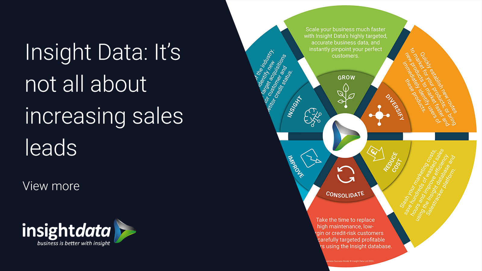 Insight Data sales leads graphic