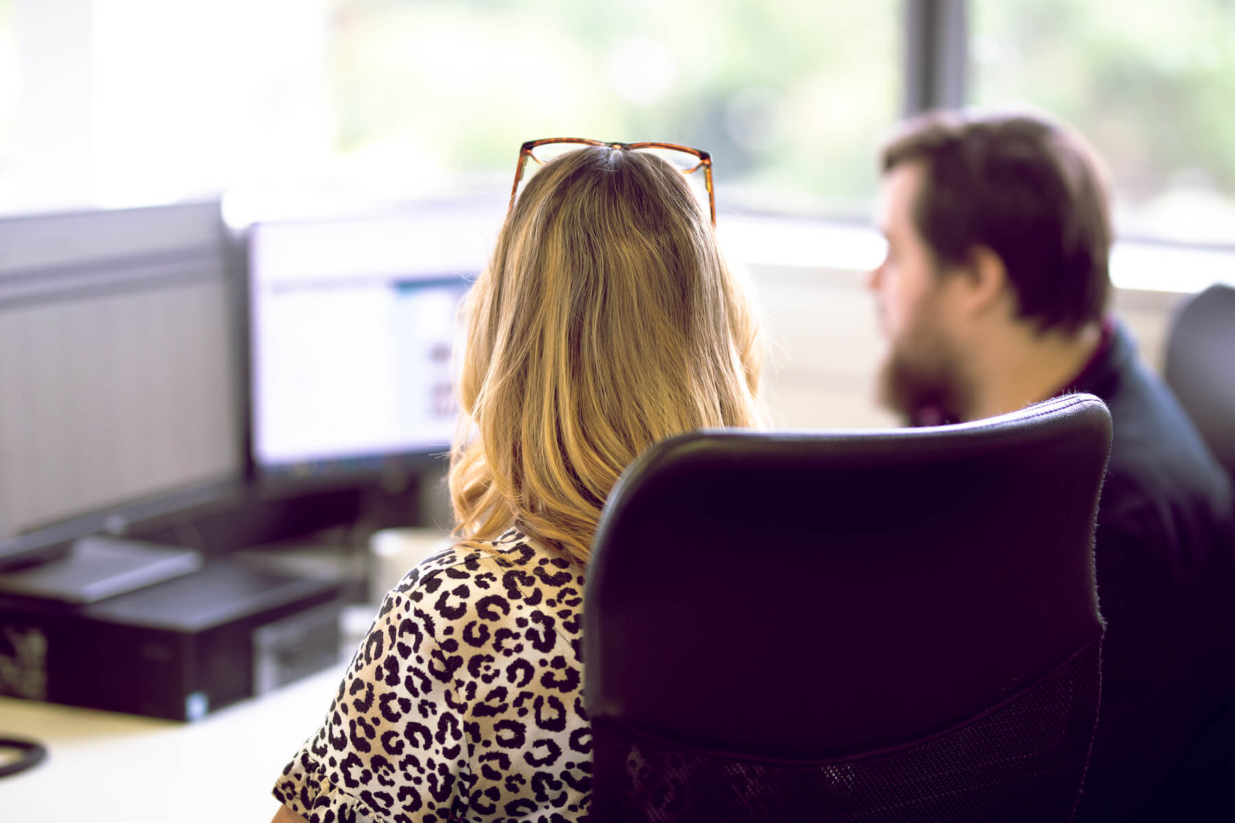 Collaboration at Insight Data